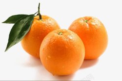 姗椤瓙橙子高清图片
