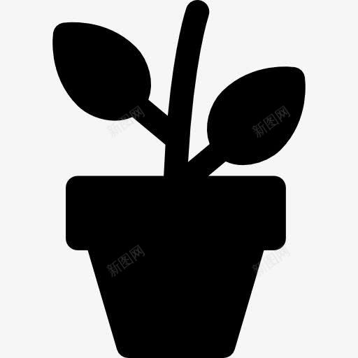 植物图标png_新图网 https://ixintu.com 园林 园艺 植物 生长 种植 自然