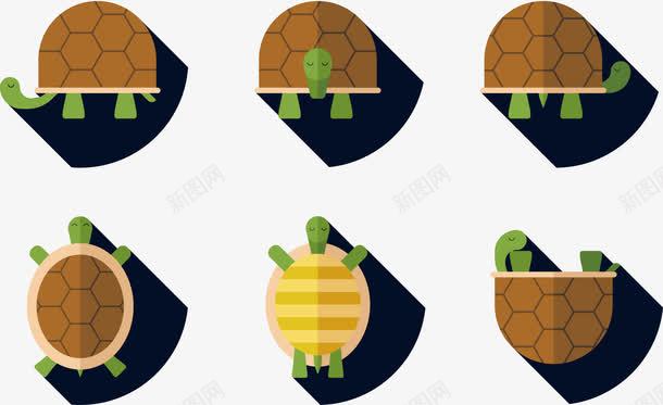 爬行动物乌龟png免抠素材_新图网 https://ixintu.com 乌龟 免费 免费素材 动物 海龟