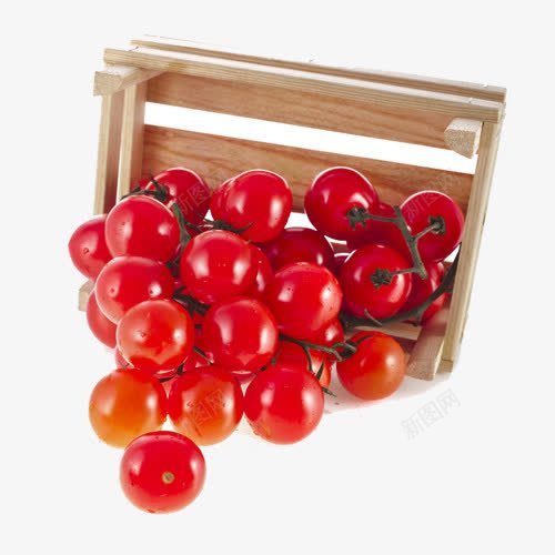 红色小番茄png免抠素材_新图网 https://ixintu.com 小番茄 番茄 红色 茄子