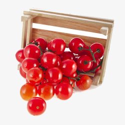 红色小番茄素材