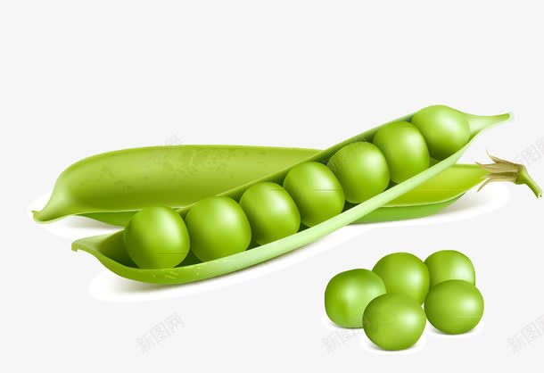 蔬菜豌豆png免抠素材_新图网 https://ixintu.com 绿色豌豆 蔬菜 豆子