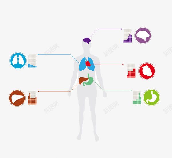 人体器官量化指标png免抠素材_新图网 https://ixintu.com 人体 器官 指标 量化