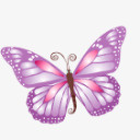 紫色蝴蝶图标素材