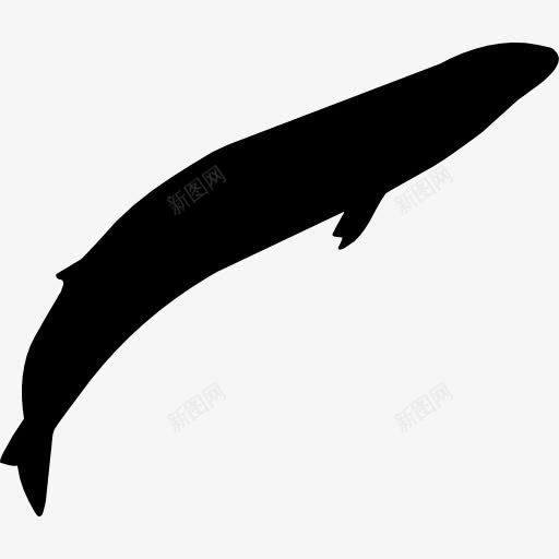 灰色的鲸鱼的形状图标png_新图网 https://ixintu.com 动物 形状 海洋生物 灰色 灰鲸动物王国 鲸