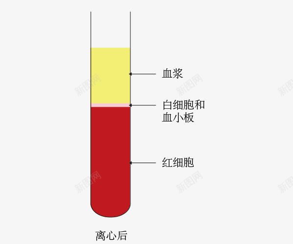 血液组成示意图png免抠素材_新图网 https://ixintu.com 示意图 红色 血液组成 试管