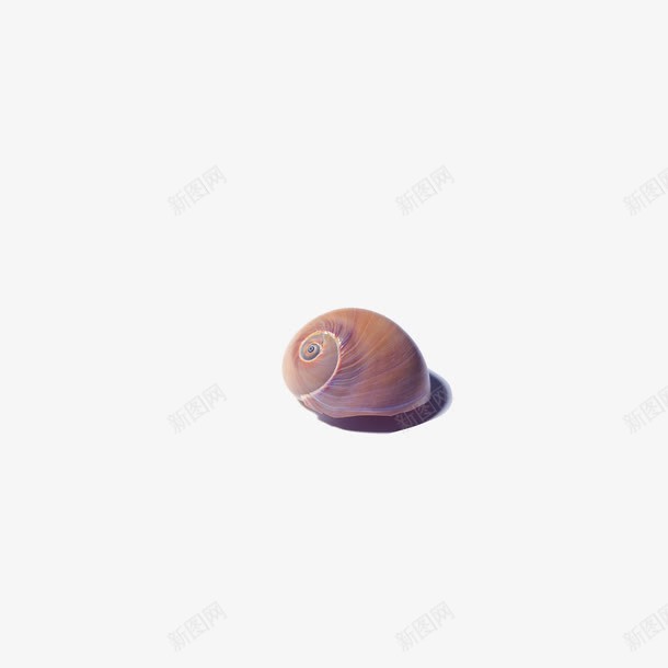 胆小的蜗牛png免抠素材_新图网 https://ixintu.com 动物 胆小 蜗牛