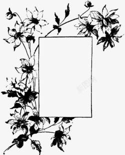 墨色边框黑白植物花朵留白插图高清图片