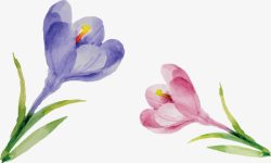 水彩小花素材