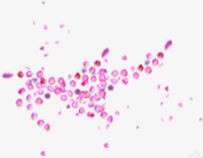 紫色卡通梦幻花瓣png免抠素材_新图网 https://ixintu.com 卡通 梦幻 紫色 花瓣 设计