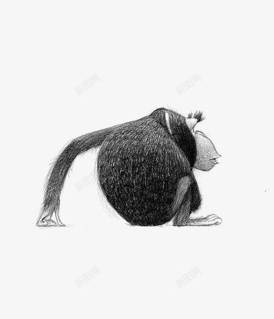 卡通猩猩png免抠素材_新图网 https://ixintu.com 公猩猩 大猩猩 手绘猩猩 猩猩免扣元素 猩猩插画 黑猩猩
