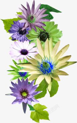 紫色白色蓝色花朵素材