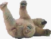 熊跌倒熊png免抠素材_新图网 https://ixintu.com 大胖熊 搞笑 摔跤熊 胖胖熊 跌倒熊 跌倒的小人