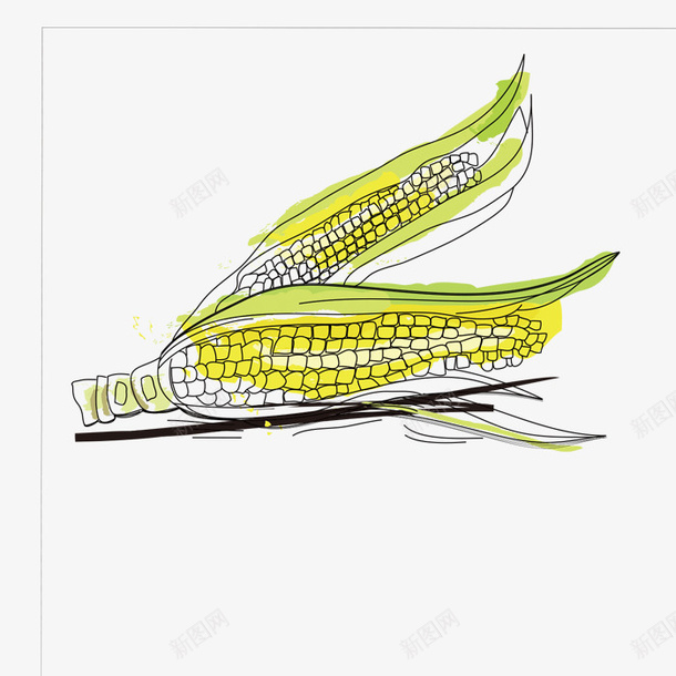 手绘玉米png免抠素材_新图网 https://ixintu.com 手绘画 玉米 矢量装饰 粮食 装饰