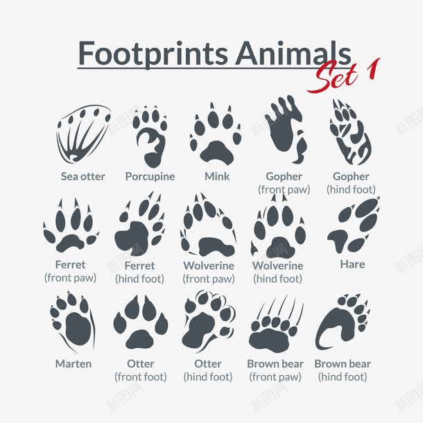 15款动物脚印png免抠素材_新图网 https://ixintu.com 动物 动物脚印 脚印矢量 脚印设计