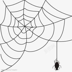 结网的蜘蛛蜘蛛高清图片
