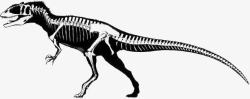 黑色恐龙骨架素材
