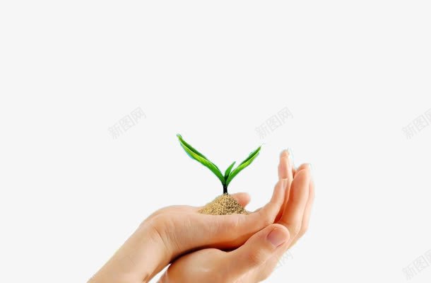 植树节装饰图png免抠素材_新图网 https://ixintu.com 发芽 呵护 植物 绿色