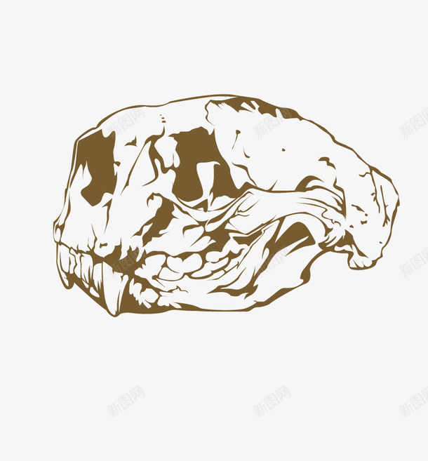 古代头骨png免抠素材_新图网 https://ixintu.com 创意头骨 头骨素材 手绘头骨素材