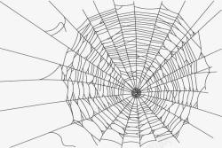 卡通手绘蜘蛛网素材