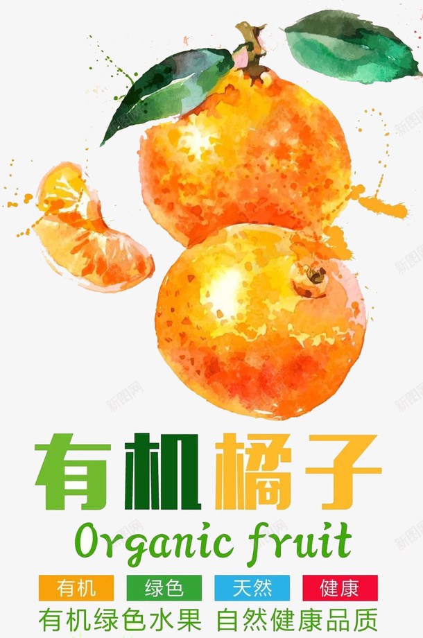 有机橙子psd免抠素材_新图网 https://ixintu.com 健康 有机 橙子 水果 食物