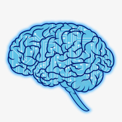 蓝色大脑脑血管图素材