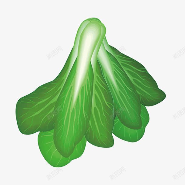 蔬菜小油菜图png免抠素材_新图网 https://ixintu.com 免抠图 小油菜 绿色蔬菜 蔬菜