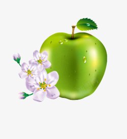 苹果花和苹果素材