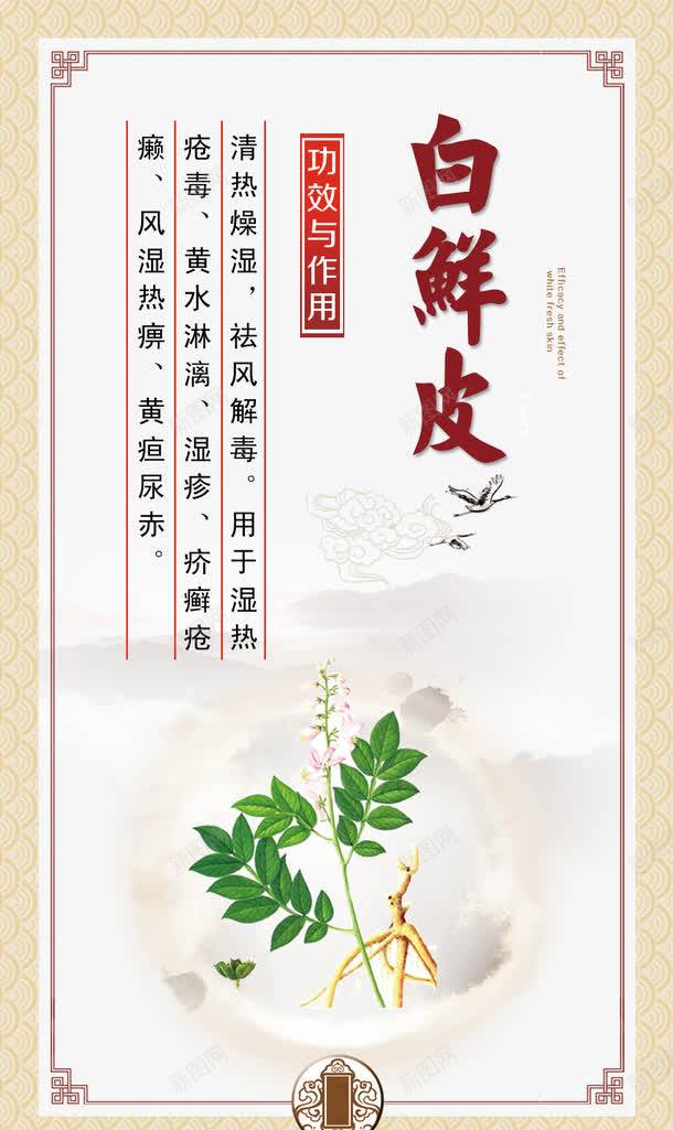 中医药材宣传画png免抠素材_新图网 https://ixintu.com 中医宣传画 中医挂画 中国风 中药 中药材 白鲜皮 草药 药材