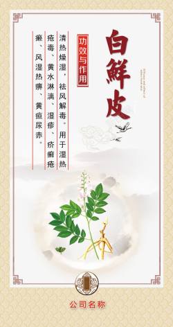 白鲜皮中医药材宣传画高清图片