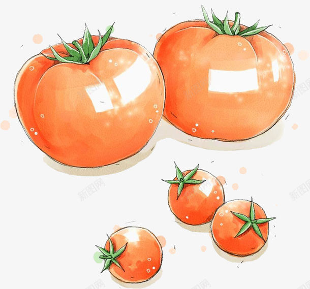 手绘水彩红色番茄png免抠素材_新图网 https://ixintu.com 手绘 水彩 番茄 蔬菜