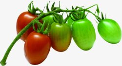 生鲜绿色蔬菜柿子素材