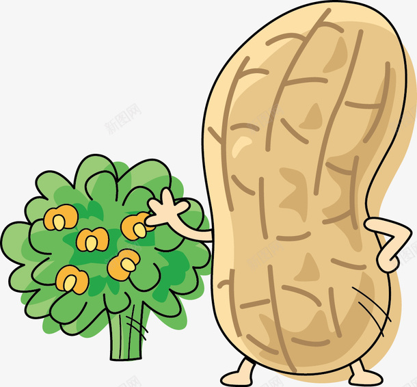 手绘花生png免抠素材_新图网 https://ixintu.com 手绘画 矢量装饰 花生 花生苗 装饰