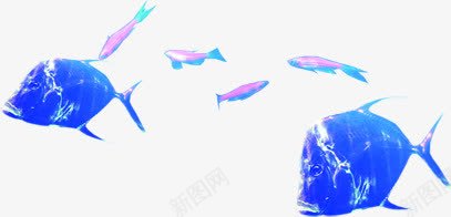 深海蓝色粉色海鱼png免抠素材_新图网 https://ixintu.com 海鱼 深海 粉色 素材 蓝色