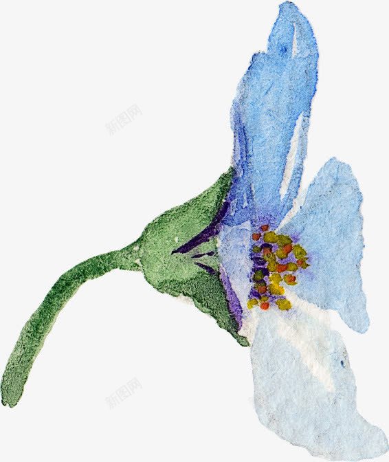 花卉png免抠素材_新图网 https://ixintu.com 水彩花 水彩花卉 花朵 蓝花 野花
