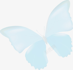 美丽飞虫蓝色清新蝴蝶高清图片