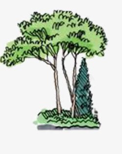 卡通手绘园林植物素材