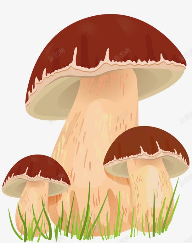 好大蘑菇png免抠素材_新图网 https://ixintu.com 卡通 大蘑菇 蘑菇 黄蘑菇