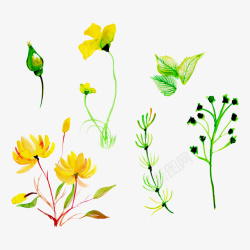 黄绿色植物春天黄绿色植物手绘矢量图高清图片