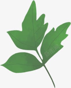 公园里的植物绿色的树叶png免抠素材_新图网 https://ixintu.com 公园 树叶 植物 绿色