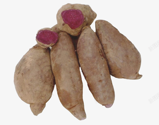 蕃薯紫薯png免抠素材_新图网 https://ixintu.com 农产品 紫薯 美食 蕃薯