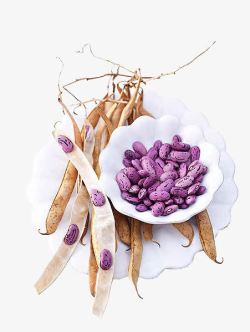 熬粥干豆子紫色豆角高清图片