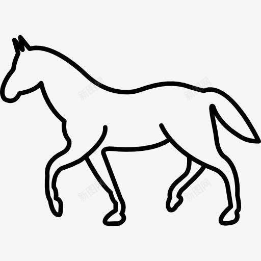 白色步行马概述图标png_新图网 https://ixintu.com 侧视图 动物 散步 概述 白色 轮廓 马
