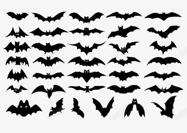 万圣节蝙蝠png免抠素材_新图网 https://ixintu.com 万圣节 万圣节蝙蝠 卡通 节日元素 蝙蝠