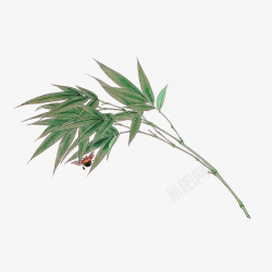 绿色中国风竹叶装饰图案素材