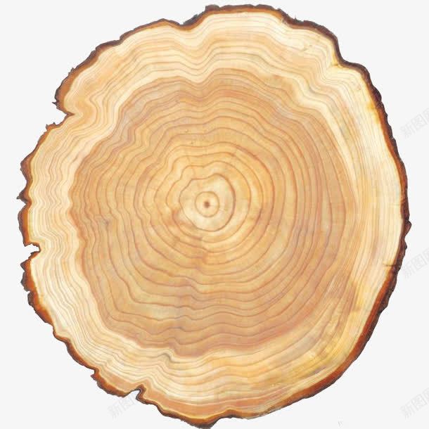 树干纹理png免抠素材_新图网 https://ixintu.com 复古色 木材 树干 纹理