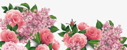 多彩玫瑰花情人节多彩花朵装饰高清图片