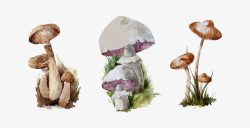 卡通蘑菇菌类素材