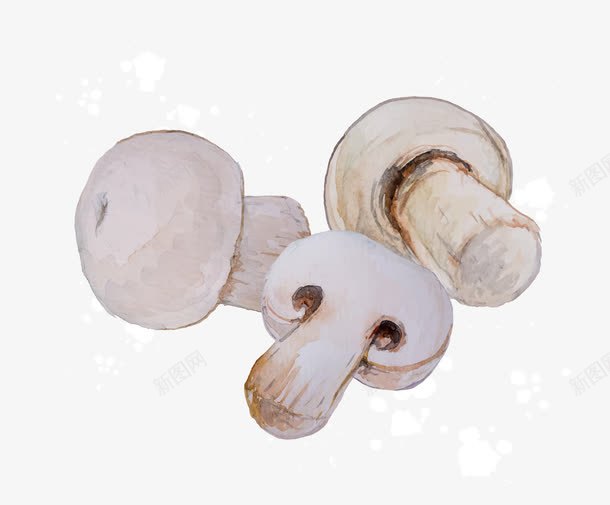 卡通白色蔬菜蘑菇png免抠素材_新图网 https://ixintu.com 卡通蘑菇 白色蘑菇 白色蘑菇png 蔬菜蘑菇png 蘑菇png 蘑菇免扣png