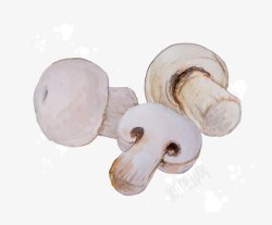 卡通白色蔬菜蘑菇素材